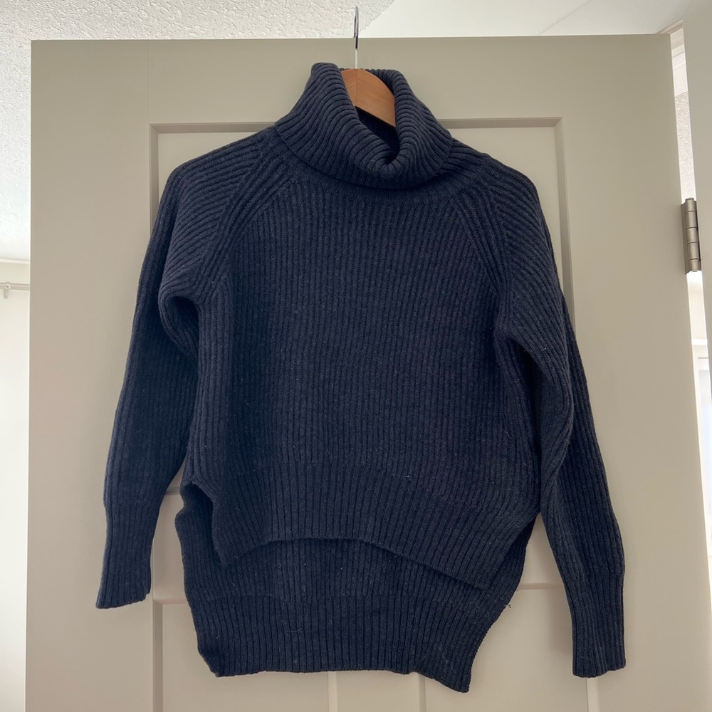 Aritzia turtleneck